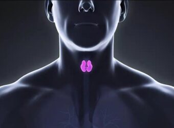 Φερριτίνη και σίδηρος: Ποια συμπτώματα συνδέονται με τη χαμηλή φερριτίνη – Η σχέση τους με τον θυρεοειδή