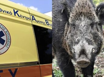 Τραγωδία στη Μάνη: Σκοτώθηκε 24χρονος μοτοσικλετιστής μετά από σύγκρουση με αγριογούρουνο