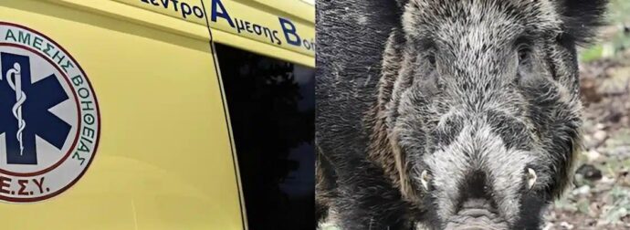 Τραγωδία στη Μάνη: Σκοτώθηκε 24χρονος μοτοσικλετιστής μετά από σύγκρουση με αγριογούρουνο