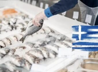 ΣΥΝΑΓΕΡΜΟΣ ΓΙΑ ΤΑ ΨΑΡΙΑ ΣΤΑ ΕΛΛΗΝΙΚΑ ΣΟΥΠΕΡ ΜΑΡΚΕΤ – ΜΕΓΑΛΗ ΠΡΟΣΟΧΗ