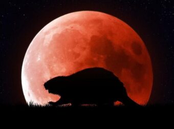 Πανσέληνος στις 5 Νοεμβρίου -Το «Φεγγάρι του Κάστορα» φέρνει έντονα συναισθήματα και αλλαγές για τρία ζώδια