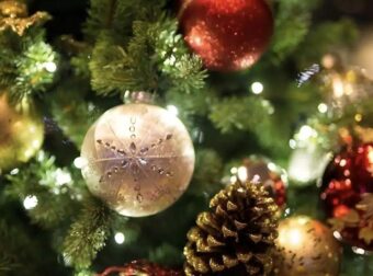 Το χριστουγεννιάτικο δέντρο από τα ΙΚΕΑ για μικρά διαμερίσματα – Στιλάτο και πρακτικό