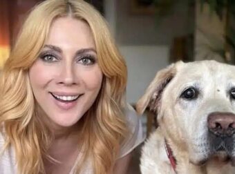 «Βαριακούει, κοιμάται βαθιά… Έκλεισε τα 14, να του πούμε όλοι χρόνια πολλά» – Η Σμαράγδα Καρύδη φωτογραφίζεται με τον Γιάννη σε ίδιες πόζες