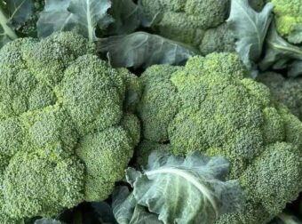 Οι γιατροί αποκαλύπτουν ότι η συχνή κατανάλωση πράσινου μπρόκολου προκαλεί αναζωογόνηση στο δέρμα και όχι μόνο