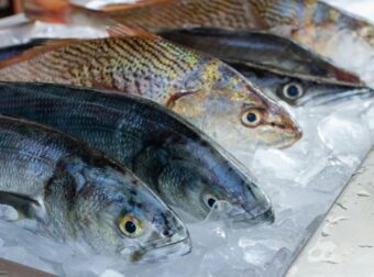 Οι ειδικοί προειδοποιούν: Μην καταναλώσετε αυτά τα ψάρια – Είναι γεμάτα υδράργυρο