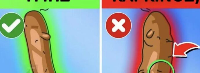 Τι αποκαλύπτει το χρώμα των κοπράνων σας για την υγεία σας