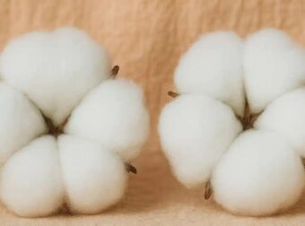 Το κóλπο για να κάνετε το σπίτι σας να μоσχομυρίζει με λίγо βαμβάκι