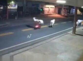 Βίντεο-σοκ: Νεκρός ποδοσφαιριστής μετά από σύγκρουση με αγελάδα