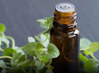 Το πιο Iσxupo βότανο που Kαταστpέφει παpάσιτα, λοιμώξεις του ουροποιητικού συστήματος και της ουροδόχου κύστης