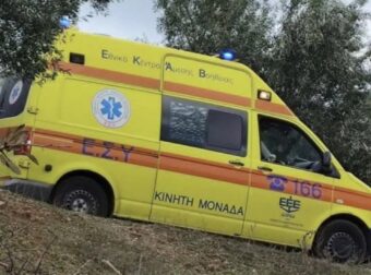 Φθιώτιδα: 50χρονος Πέθανε από τσίμπημα μέλισσας