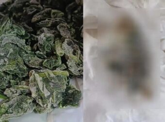 Νεκρό ποντίκι σε Ελληνικό κατεψυγμένο σπανάκι πασίγνωστης εταιρείας
