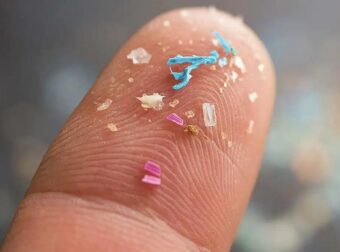 Γιατρός καταγράφει τα 9 τρόφιμα στο σουπερμάρκετ που περιέχουν τα περισσότερα μικροπλαστικά