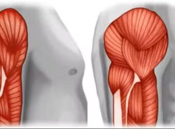 Πρωτεΐνη δεν είναι μόνο το κρέας: Οι 20 καλύτερες φυτικές πηγές πρωτεΐνης για να αποφύγετε τις ζωικές τροφές