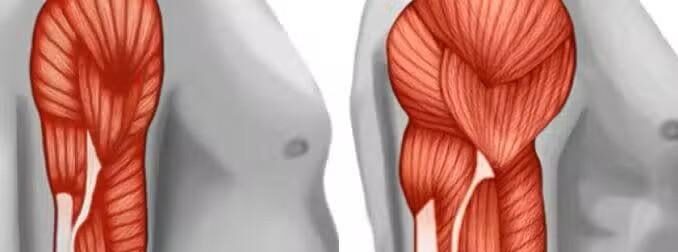 Πρωτεΐνη δεν είναι μόνο το κρέας: Οι 20 καλύτερες φυτικές πηγές πρωτεΐνης για να αποφύγετε τις ζωικές τροφές