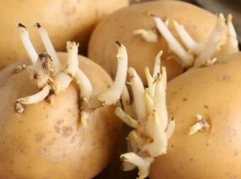 Μέσα στη σακούλα με τις πατάτες βάλτε μέσα αυτό το φρούτο και δεν θα ξαναβγάλουν ποτέ φύτρες