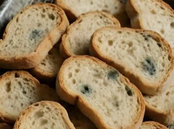 Έβγαλα λίγο μπαγιάτικο ψωμί από το ντουλάπι. Η πεθερά μου λέει ότι είναι σπατάλη να μην το χρησιμοποιήσουμε, αλλά εμένα μου φαίνεται χάλια. Τι να κάνω;