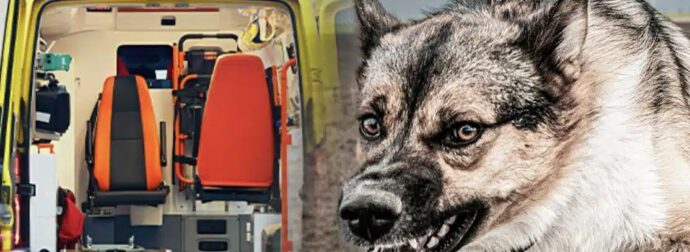 Σοκ σήμερα στη Ζάκυνθο με νεκρό 2χρονο παιδάκι – Μαθεύτηκε όλη η αλήθεια – Η ράτσα του σκύλου