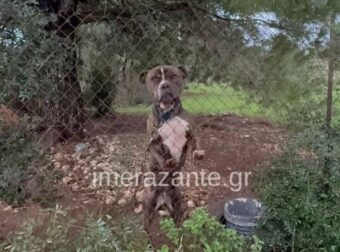 Ζάκυνθος: Εξέλιξη σoκ στην υπόθεση με το 2χρονο που εχασε τη ζωή του