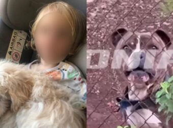 «Δεν είχε πάει ποτέ το παιδί εκεί πέρα, ποτέ»: Ραγίζει καρδιές ο πατέρας του μικρού αγοριού από τη Zάκυνθο