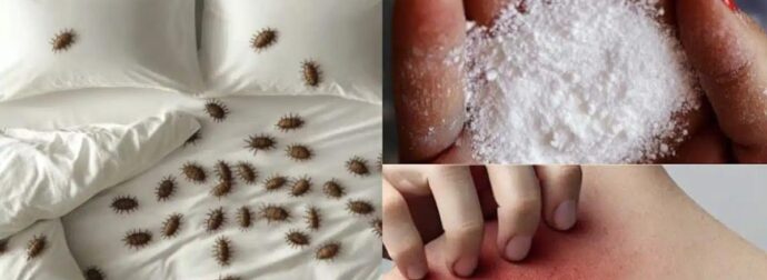 Πώς να αφαιρέσετε τα ακάρεα της σκόνης  και τους κοριούς από το στρώμα σας με φυσικό τρόπο