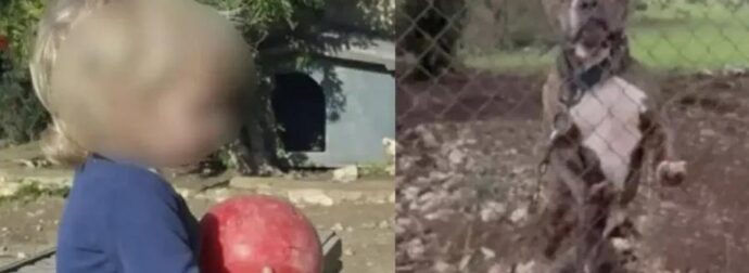 Θρήνος για τον μικρό άγγελο της Ζακύνθου – Αυτός είναι ο λόγος που το πίτμπουλ τον κατασπάραξε και τον σκότωσε