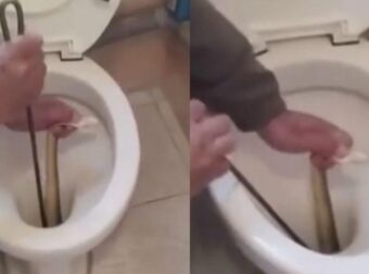 Πριν καθίσετε στη λεκάνη της τουαλέτας ΠΡΟΣΟΧΗ, ελέγξτε καλά μέσα – Αν δείτε τι βρέθηκε στη λεκάνη ενός σπιτιού στην Καστοριά…