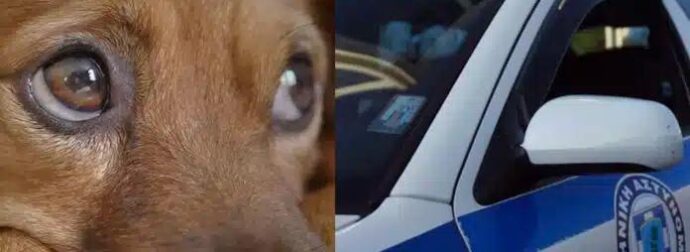 Φρικτή κτηνωδία στη Θεσσαλονίκη! Ούρλιαζε από τον φόβο “Τι κάνεις εκεί;”