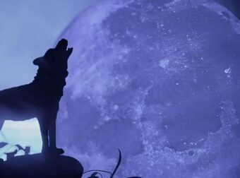 Το «Φεγγάρι του Λύκου» έρχεται στις 3 Ιανουαρίου – Η πρώτη πανσέληνος του 2026 επηρεάζει τρία ζώδια