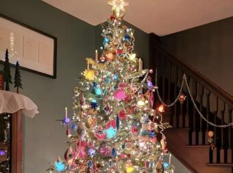 Ποτέ μην τοποθετείτε το χριστουγεννιάτικο δέντρο σε αυτά τα 7 μέρη – Προσελκύετε κακοτυχία και εντάσεις