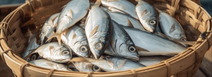 Νορβηγικός σολομός: Το ψάρι που μπαίνει στα σπίτια μας αλλά είναι από τα πιο δηλητηριώδη ψάρια του κόσμου