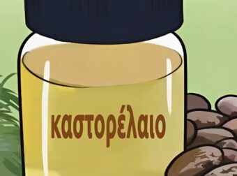 7 πράγματα που πρέπει να γνωρίζετε για το καστορέλαιο