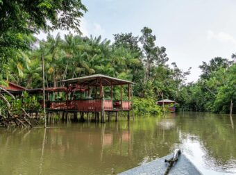 Νέα Χριστουγεννιάτικη Τραγωδία: 2 Ετών Κοριτσάκι είχε τον πιο Φριχτό Θάνατο