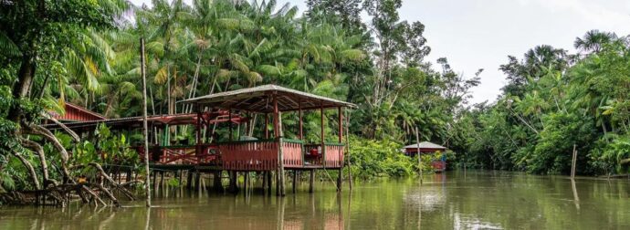 Νέα Χριστουγεννιάτικη Τραγωδία: 2 Ετών Κοριτσάκι είχε τον πιο Φριχτό Θάνατο