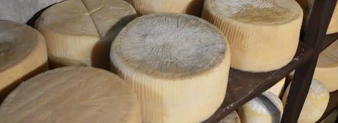 Σαρώνει η Ελλάδα – Το καλύτερο τυρί του κόσμου είναι ελληνικό για το 2025