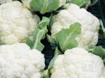 Γιατροί αποκαλύπτουν ότι η κατανάλωση κουνουπιδιού προκαλεί πολλαπλά οφέλη στον οργανισμό