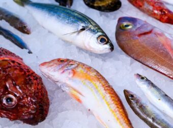 Το πιο υγιεινό ψάρι που όλοι πρέπει να τρώμε τουλάχιστον δύο φορές την εβδομάδα