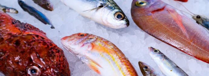 Το πιο υγιεινό ψάρι που όλοι πρέπει να τρώμε τουλάχιστον δύο φορές την εβδομάδα