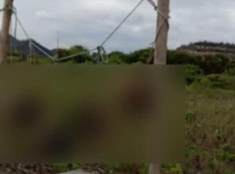 ΙΣΗΜΕΡΙΝΟΣ: ΣΟΚ ΣΕ ΠΑΣΙΓΝΩΣΤΗ ΤΟΥΡΙΣΤΙΚΗ ΠΑΡΑΛΙΑ ΠΟΥ ΤΟ ΚΑΛΟΚΑΙΡΙ ΣΦΥΖΕΙ ΑΠΟ ΚΟΣΜΟ – ΒΡΗΚΑΝ ΚΡΕΜΑΣΜΕΝΑ 5 ΑΝΘΡΩΠΙΝΑ ΚΕΦΑΛΙΑ ΑΠΟ ΣΧΟΙΝΙ