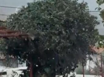 Θεσσαλονίκη: Ξεκίνησε να χιονίζει  – βίντεο