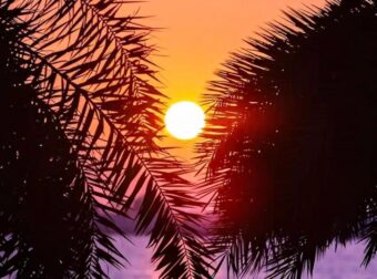 Έρχονται οι Αλκυονίδες μέρες – Πότε ο καιρός θα θυμίζει άνοιξη