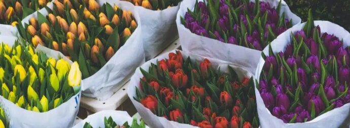 Εορτολόγιο: Ποιος γιορτάζει σήμερα Δευτέρα 26 Ιανουαρίου