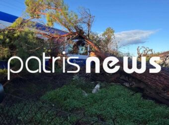 ΑΤΥΧΗΜΑ ΜΕ ΤΡΕΝΟ ΣΤΗΝ ΠΕΛΟΠΟΝΝΗΣΟ – ΠΕΥΚΟ ΕΠΕΣΕ ΣΤΟ ΒΑΓΟΝΙ