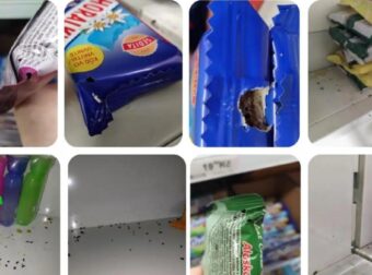 Τσεχία: Κλείνει πασίγνωστο σούπερ μάρκετ λόγω παρουσίας τρωκτικών – Φωτογραφίες σοκ