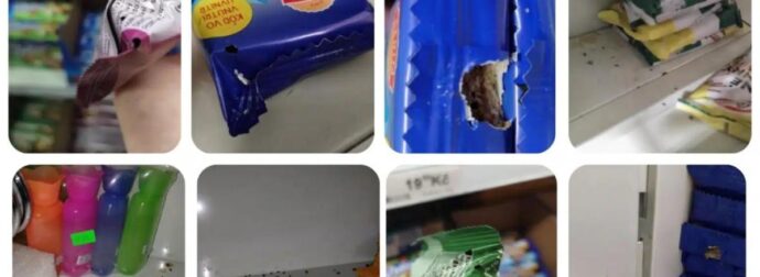 Τσεχία: Κλείνει πασίγνωστο σούπερ μάρκετ λόγω παρουσίας τρωκτικών – Φωτογραφίες σοκ