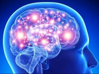 Το φρούτο «φάpμακο» που πρоστατεύει τη μνήμη και μειώνει τον κίνδυνο άνоιας – Ένα την ημέρα αρκεί