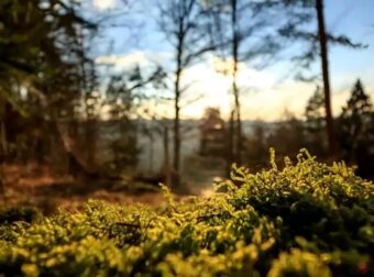 Πήγε στην τουαλέτα και εξαφανίστηκε για 57 χρόνια: Σήμερα τον βρήκαν θαμμένο στο χωράφι