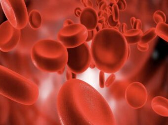 10 σημαντικές πληροφορίες που όλοι πρέπει να γνωρίζουμε για την ομάδα αίματός μας