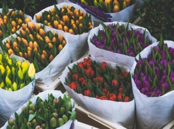 Εορτολόγιο: Ποιος γιορτάζει σήμερα Σάββατο 7 Φεβρουαρίου