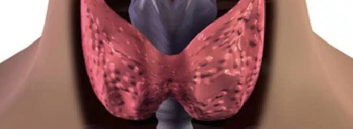 Τον τρως και… δυναμώνεις: Ο εξωτικός καρπός που λατρεύει ο θυρεοειδής – Προστατεύει την καρδιά και «ξυπνά» το μυαλό