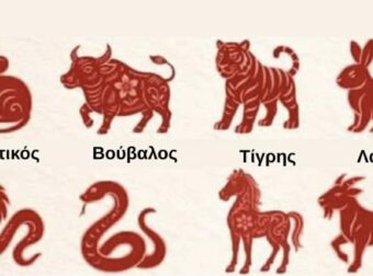 Δες ποιο είναι το ζώδιό σου και δες τι θα σου φέρει η Χρονιά του Αλόγου